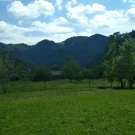 Campsite Гуцульський Двір Krivorovnya